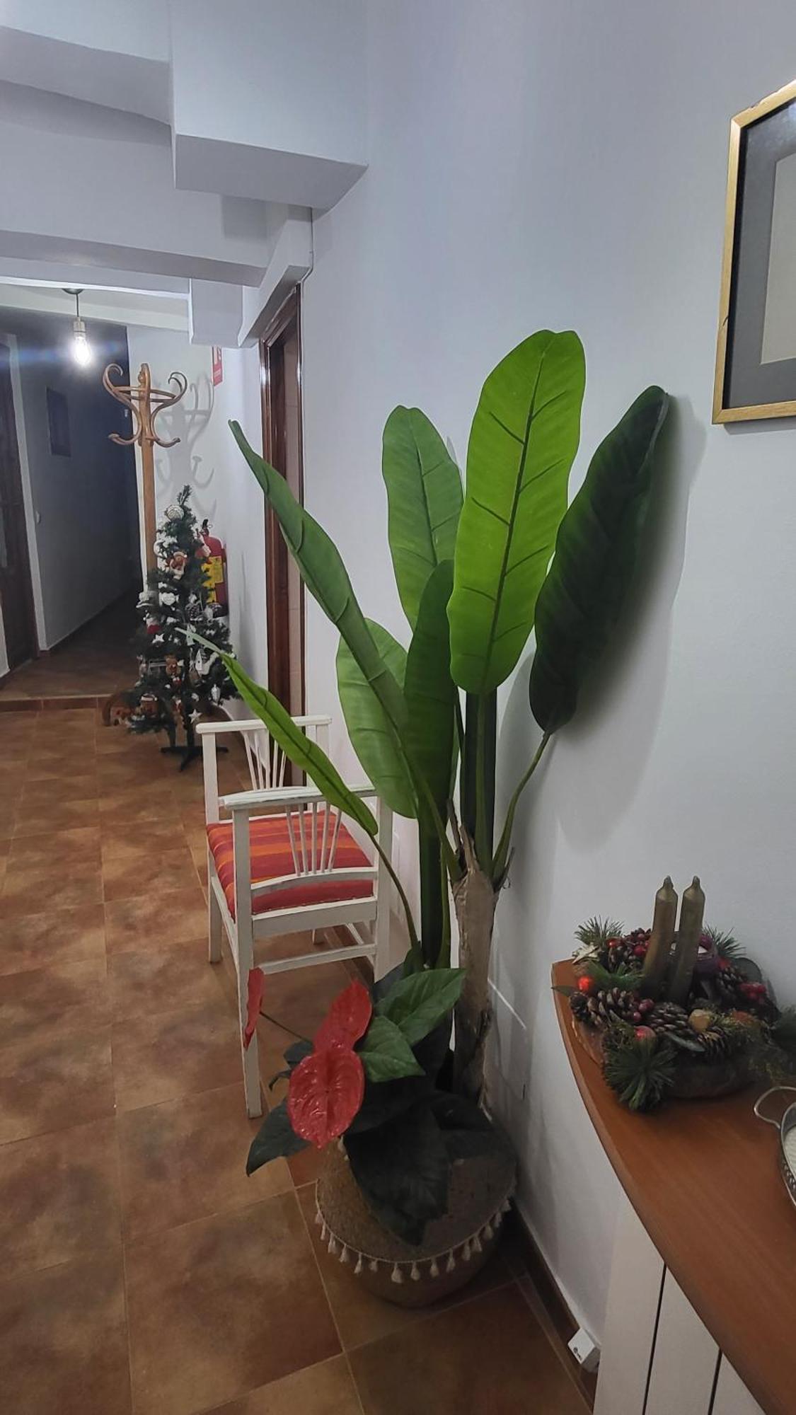 Casa Santa Maria I Con Barbacoa Villa อาเรวาโล ภายนอก รูปภาพ